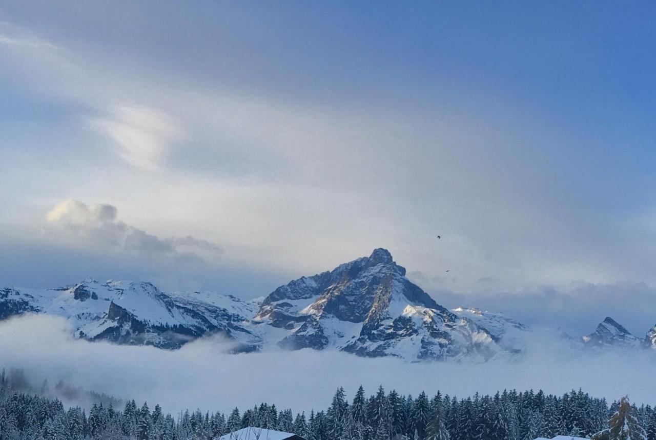 Mountain Chalet Амден Экстерьер фото