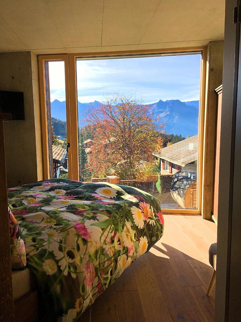 Mountain Chalet Амден Экстерьер фото